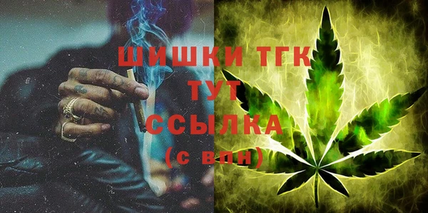 spice Богородск