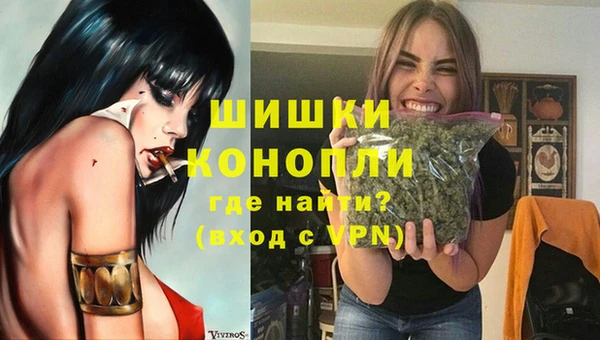 spice Богородск