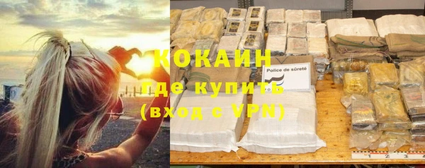 spice Богородск