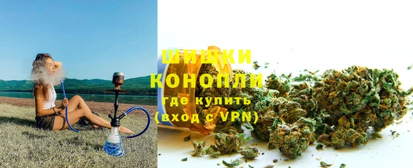 spice Богородск