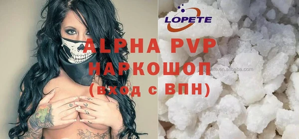 spice Богородск