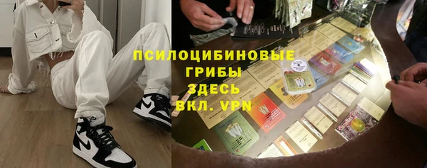 spice Богородск