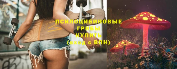 экстази Богданович