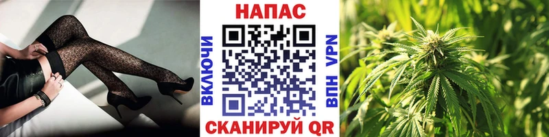 купить   Прокопьевск  Бошки марихуана THC 21% 